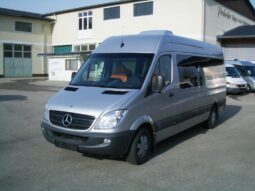 MB 319 CDI Travel