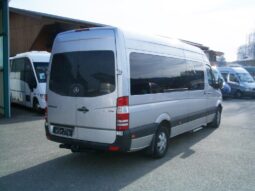 MB 319 CDI Travel
